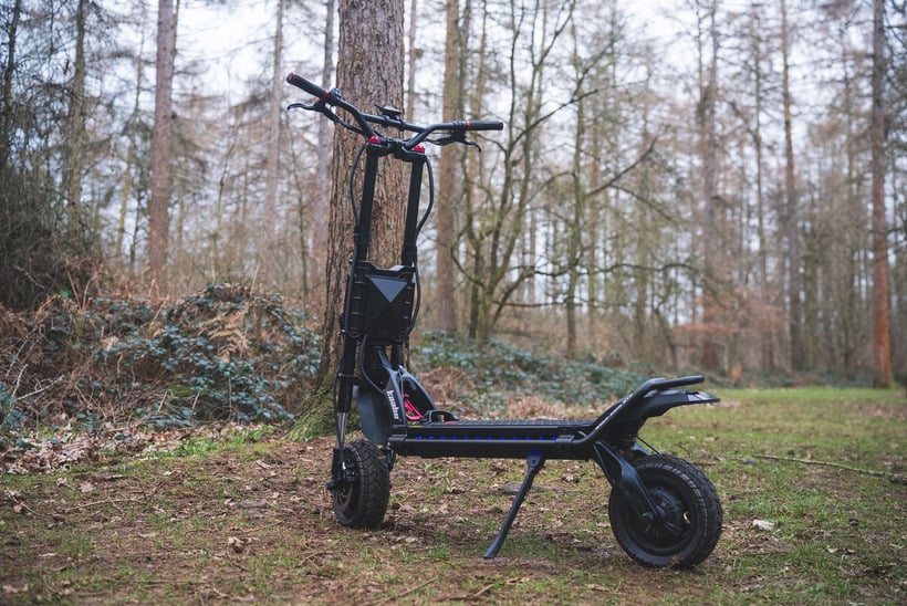 Wolf King GTR in Woodland
